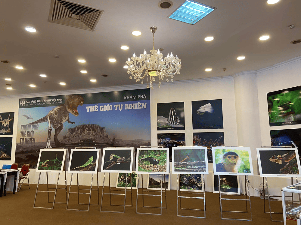 A fascinating space filled with fossil displays, taxidermy animals and interactive science exhibits (Source: Fanpage Bảo tàng Thiên nhiên Việt Nam)